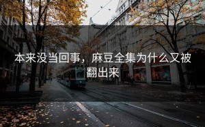 本来没当回事，麻豆全集为什么又被翻出来