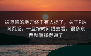 被忽略的地方终于有人提了，关于P站网页版，一旦按时间线去看，很多东西就解释得通了
