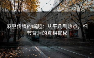 麻豆传媒的崛起：从平凡到热点，细节背后的真相揭秘