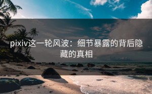 pixiv这一轮风波：细节暴露的背后隐藏的真相