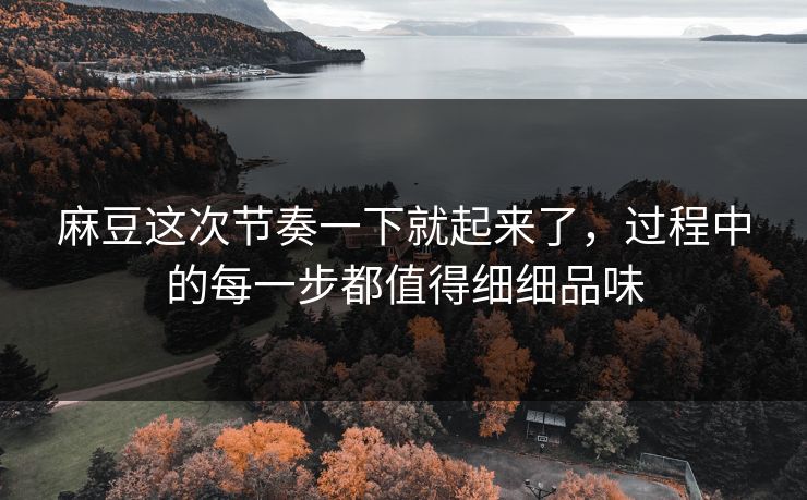 麻豆这次节奏一下就起来了，过程中的每一步都值得细细品味