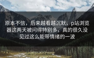 原本不信，后来越看越沉默，p站浏览器这两天被问得特别多，真的很久没见过这么能带情绪的一波