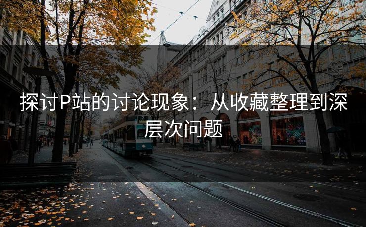 探讨P站的讨论现象:从收藏整理到深层次问题 探讨P站的讨论现象:从收藏整理到深层次问题